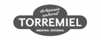 Logo-torremiel-gris Logo Torremiel Gris